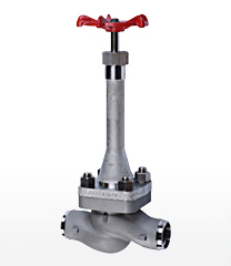 Globe valves